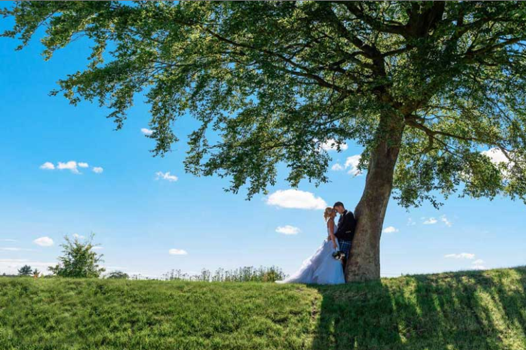 Screen Shot 2016 09 05 at 14.29.36 a9k7t4 768x512