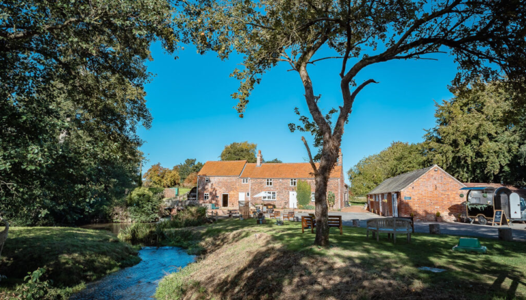 Screenshot2023 01 19092636 768x438