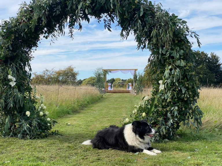 Screenshot2023 01 19092718 768x573