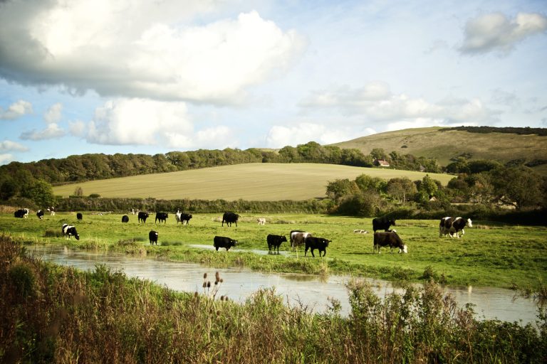 SouthDownsViews2 768x512