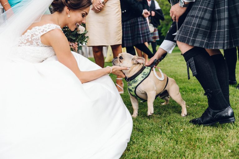 StephanieMatthewSamBrillPhoto37 768x512