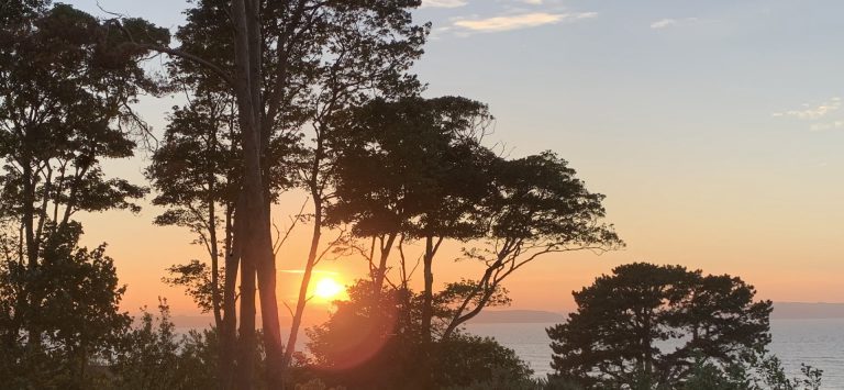Sunset 768x355
