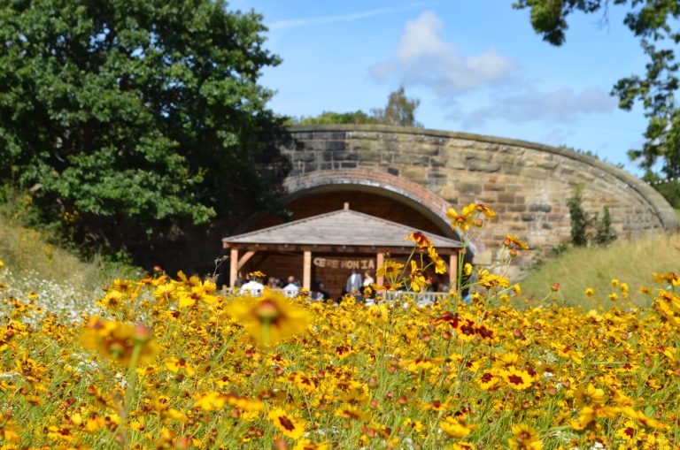 THB16 017 q7ca3f 768x509