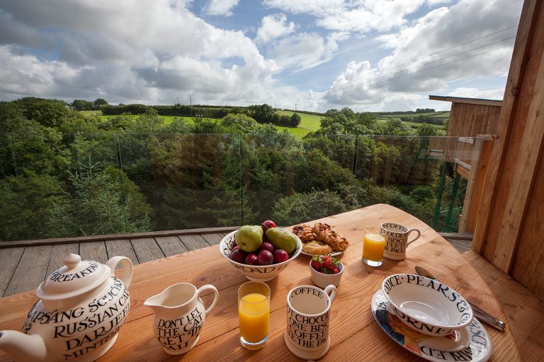 TREE TOP ESCAPE 019 768x512