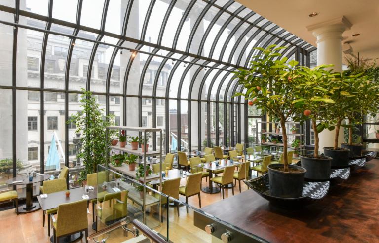 TheTerraceonPicadilly 768x493