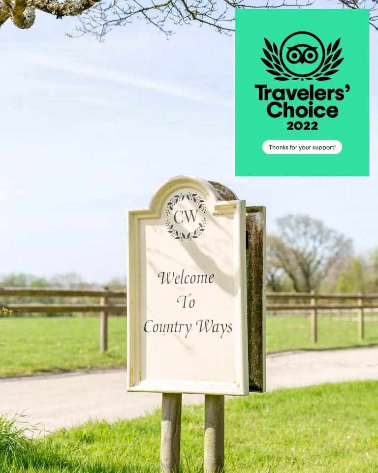 TravelersChoiceAward 768x961