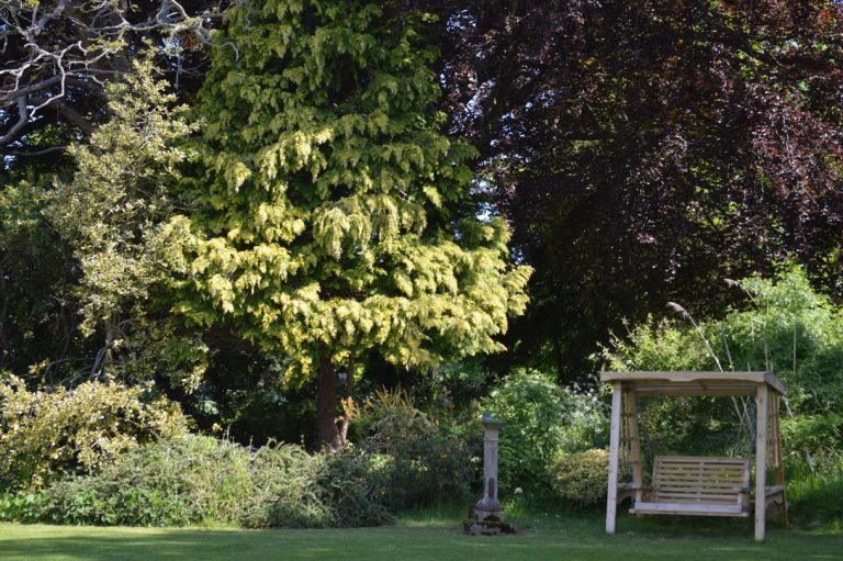 UNADJUSTEDNONRAW thumb 3887 768x511