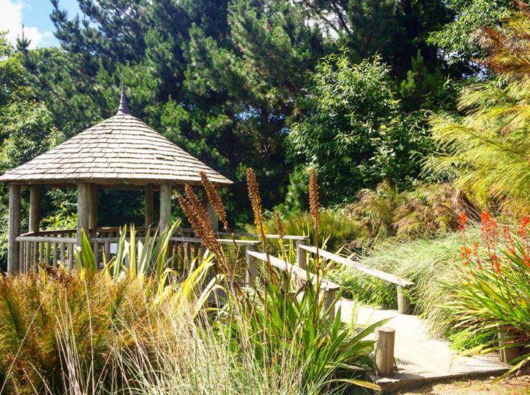 Untitled 2 go1gnb 768x572