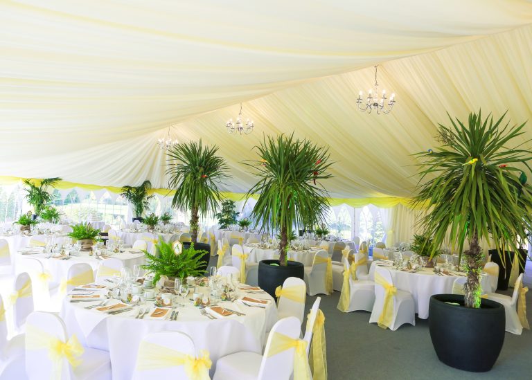 VO201018 de46E 768x549