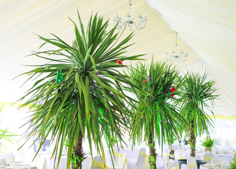 VO201018 de64E 768x549