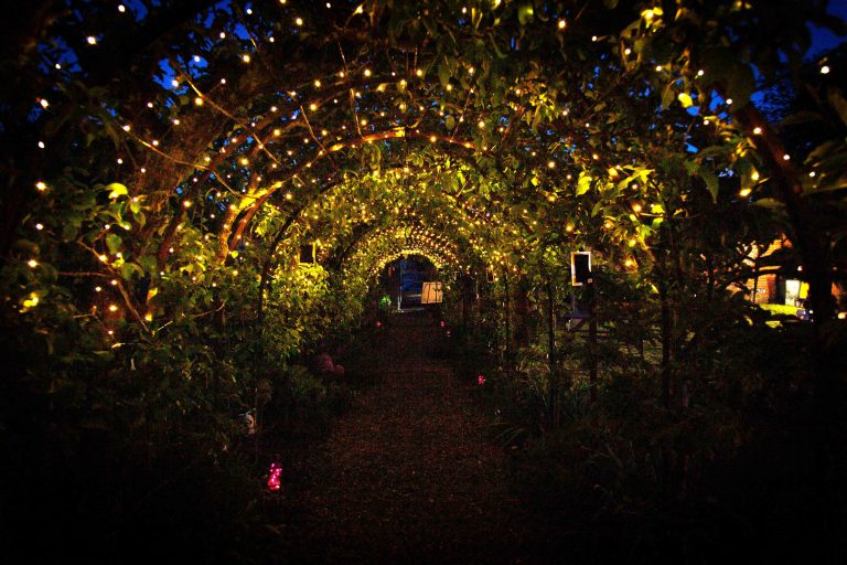Walled Garden at night2 768x512