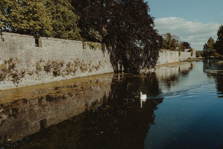 Webcapture 26 8 2022 95421 lambphotography.pic time.com  768x511