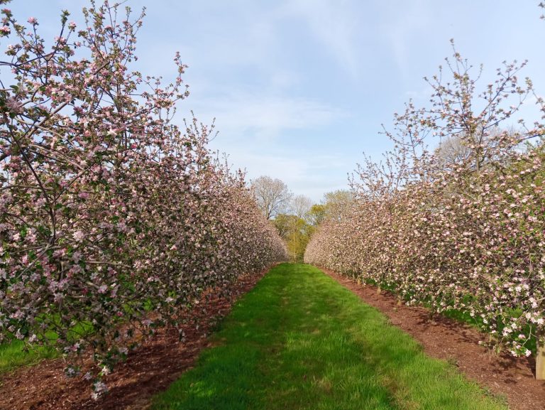 WhatsAppImage2022 02 28at14.33.201 768x577