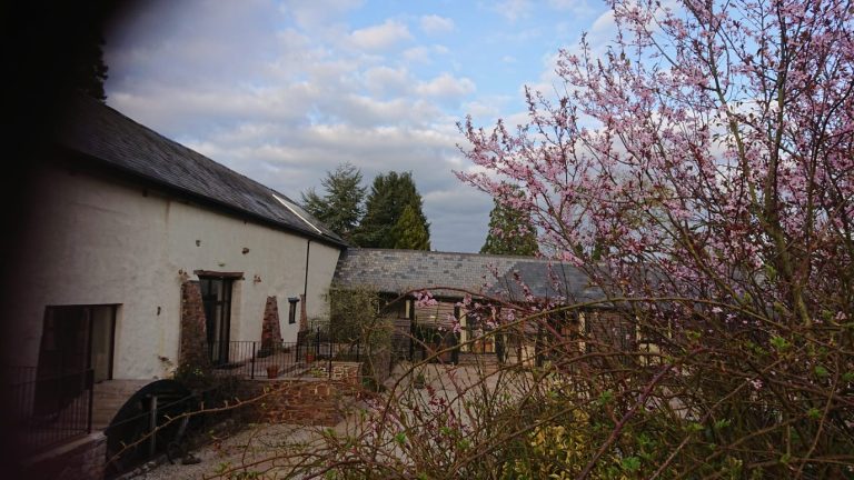 WhatsAppImage2022 02 28at14.33.202 768x432