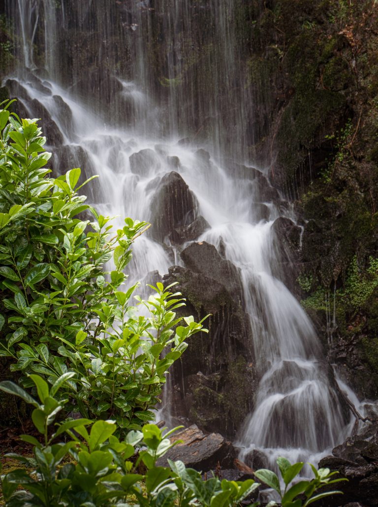 Woolhangerexternalshots 199 768x1028