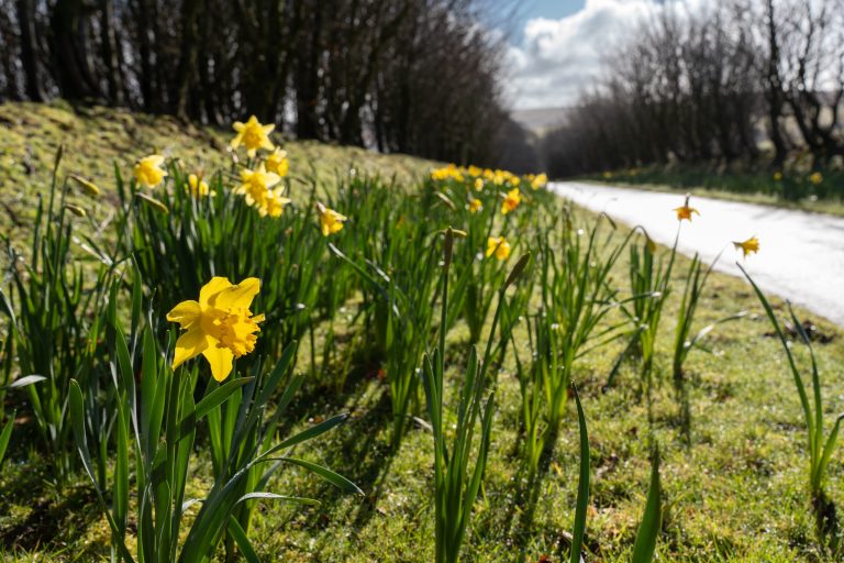 Woolhangerexternalshots 4 768x512