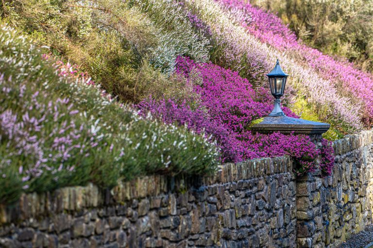 Woolhangerexternalshots 67 768x512