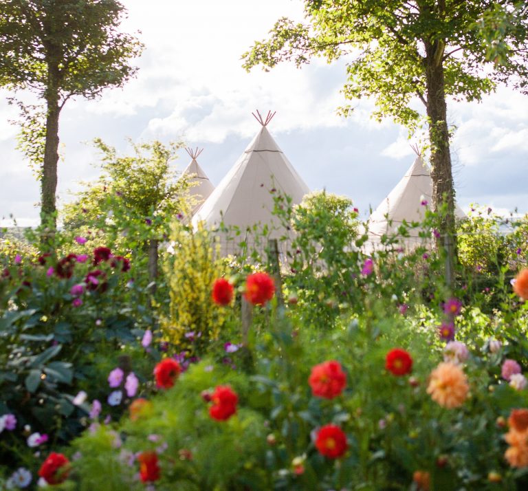 World Inspired Tents for Amelia and Niall qiuqxy 768x714