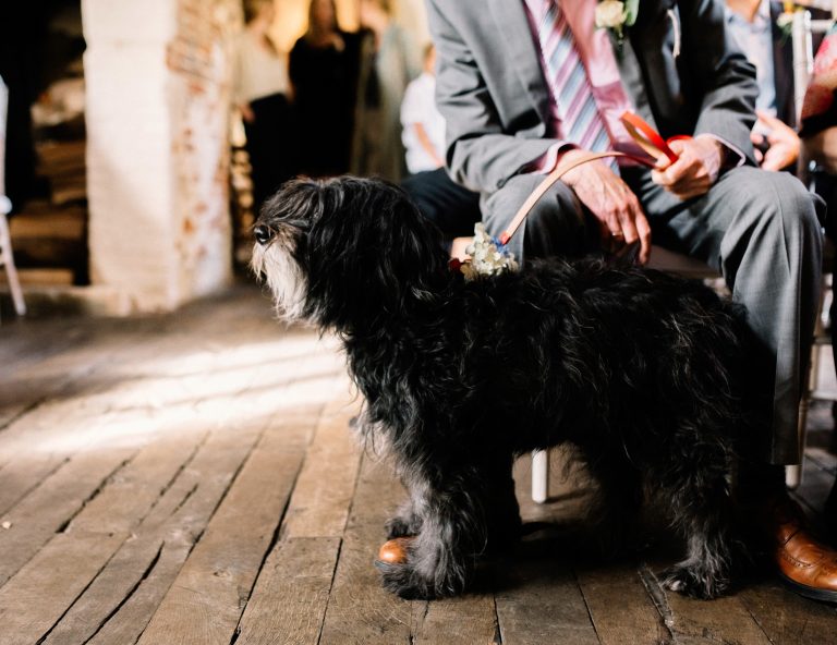 a296e6c0 161a 4e73 a41f 1aff726fbe5d East Sussex Wedding Venue 00012 768x592