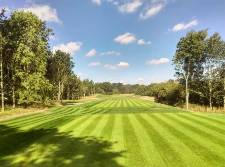 a2db4d5e cc39 4419 963d e188a6b9c2c2 768x569