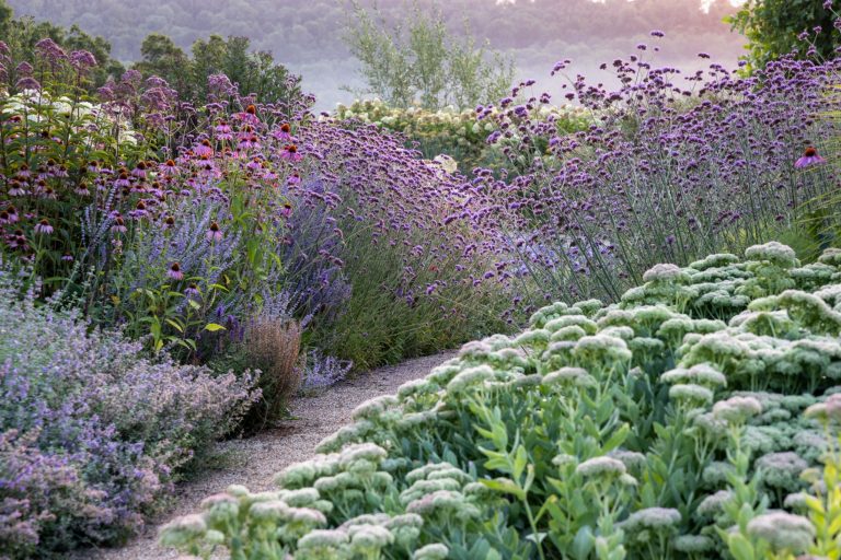 a346c5a2 f84a 4dda a1dd 6b28554e622e 768x512