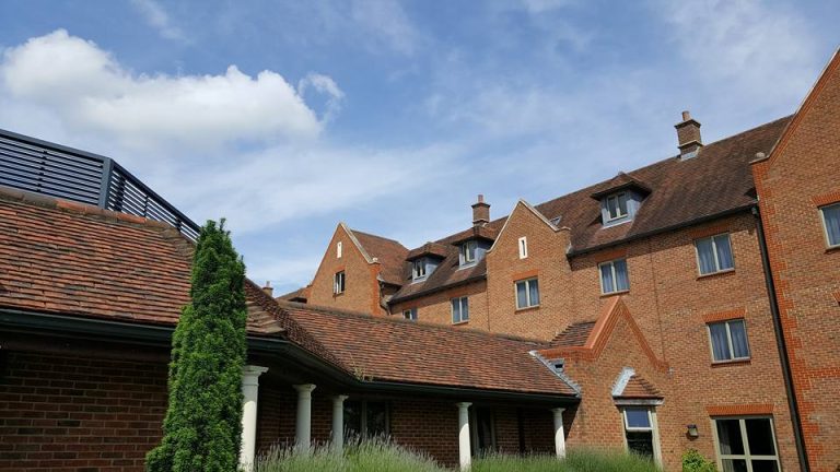 a42b3f29 375b 4b65 9a96 81818fc41e34 13533147 983262455126062 2518853496859752782 n 768x432