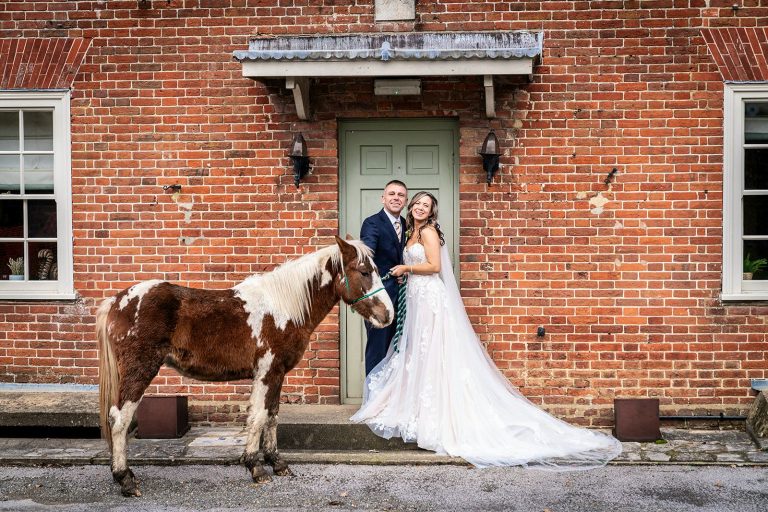 a7200097 1 19122024102812 768x512