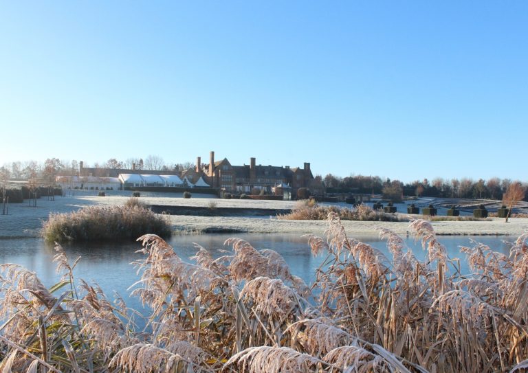 a942b077 e201 4f96 bb43 72fce8369d12 768x543