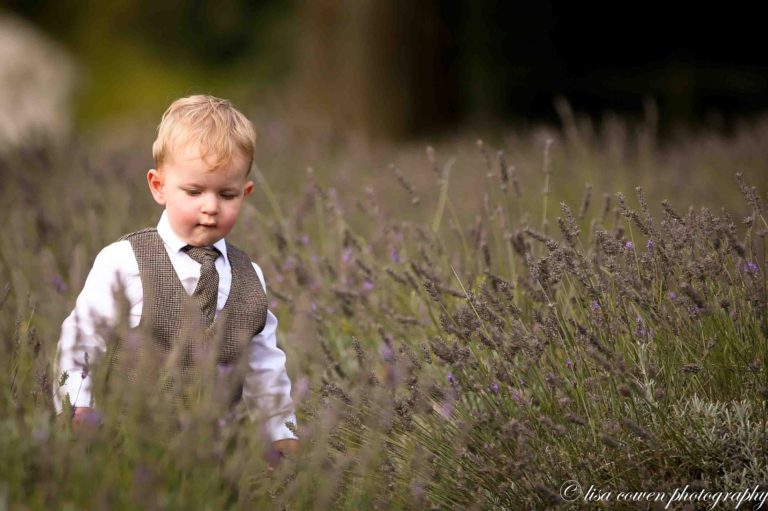 ae81e5a8 6eec 41a8 9523 37f87fd54685 768x511