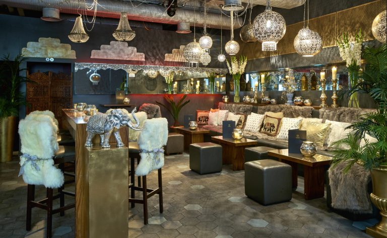 anise 0008 06102021085901 768x473