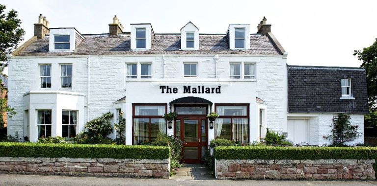 aqivozqjy695tkqkbv6p 1 768x380