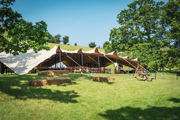 b0c9837e 2cc6 40b9 b8f2 622f2f0faa28 768x512