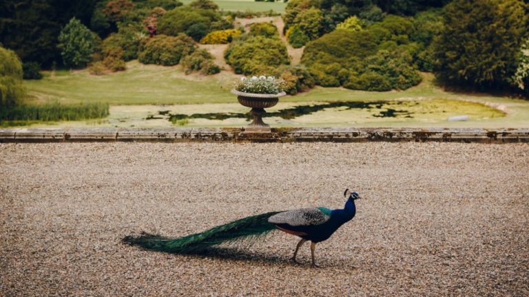 b170461e bd51 4307 a630 3d4ae7632930 768x432