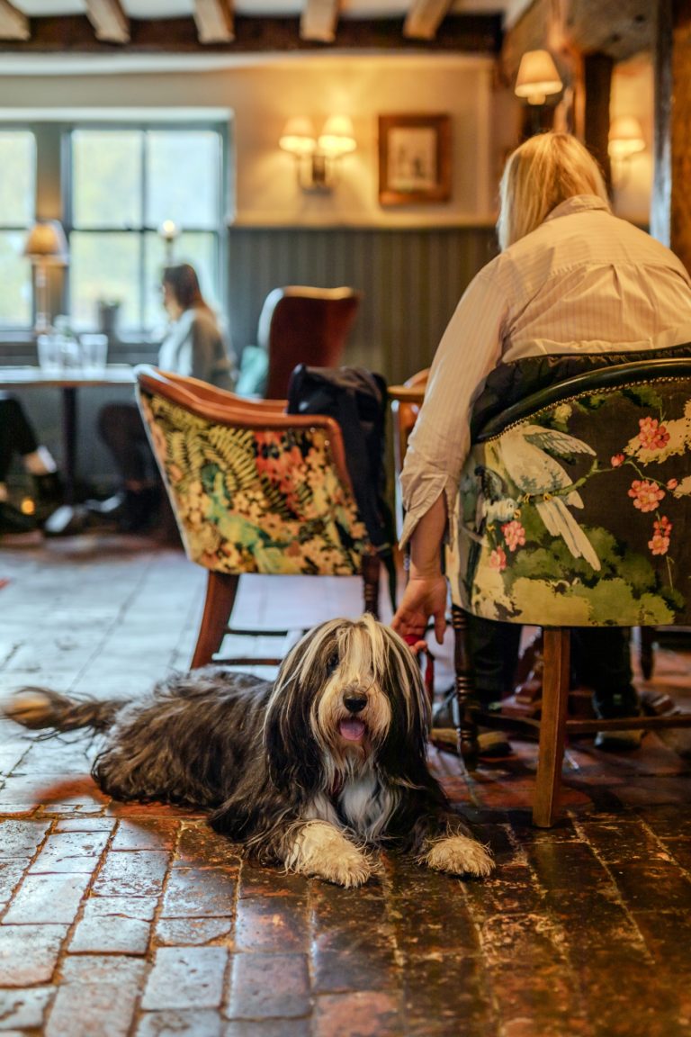 b30a18cd 3ee8 4a81 9bf0 3e0ba18e9527 768x1152