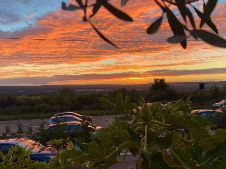 b34ced20 4116 4352 80d9 9c9e9b5ad2e8 768x576