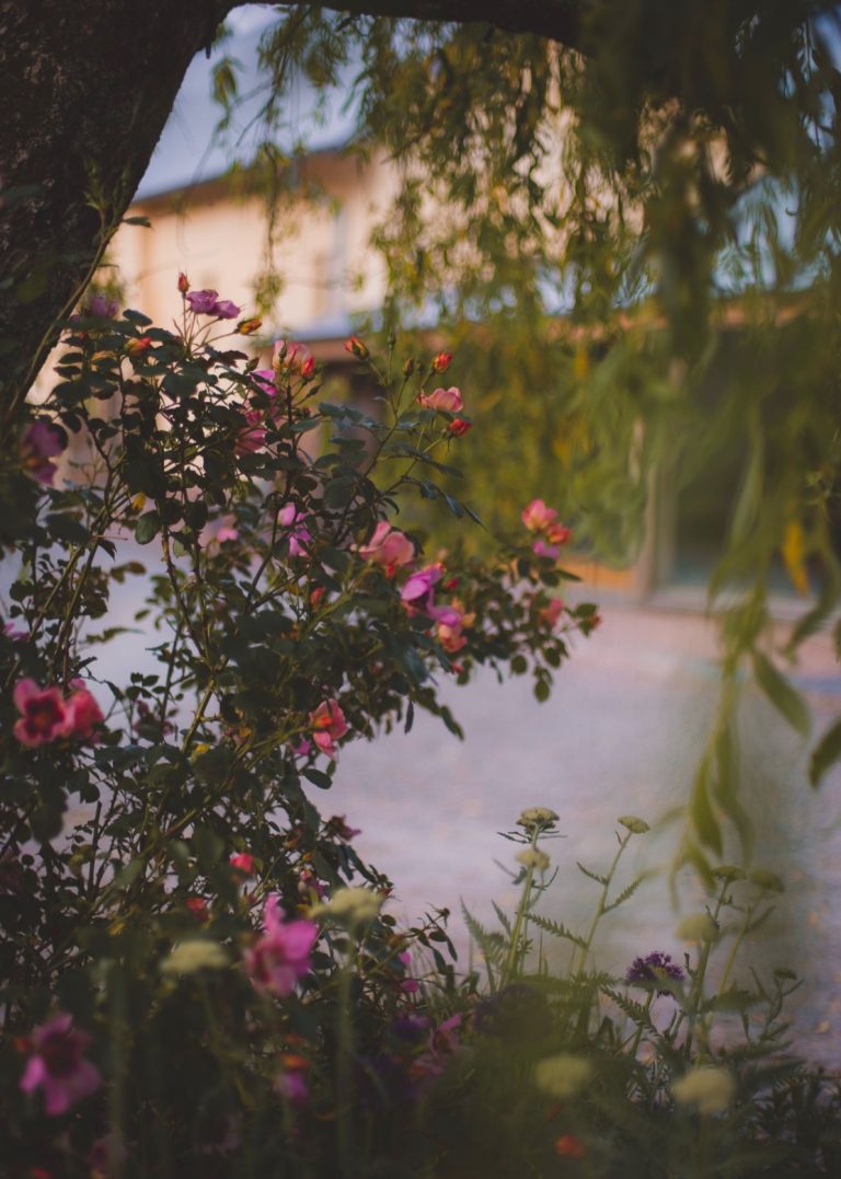 b358018b d6be 4873 9838 188b128db65b 768x1077