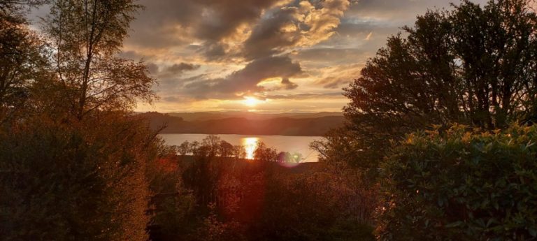 b3ca432c 4cac 42d0 b0a7 3422ca50db3d 768x345