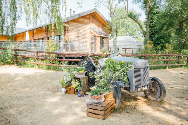 b5433be0 e24c 4783 b0d0 c1524663f9c0 768x512