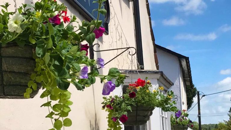 b630ec9a 5004 46e4 8f47 489bba9c190a 768x432