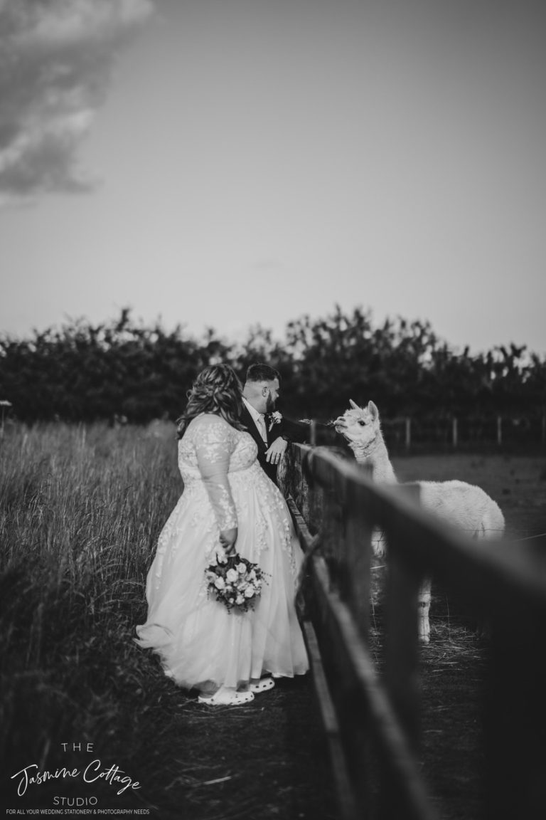 b661c426 3ba2 4b5a af9e 55d80da9301a 768x1152