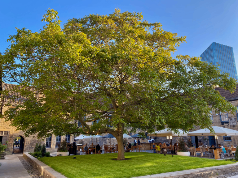 b7b13f13 51ba 43c6 afac 38effb46ebf6 768x576