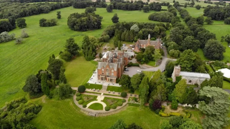 b7d8cc95 f9ea 46b6 bda2 5eb5abc2857f 768x432