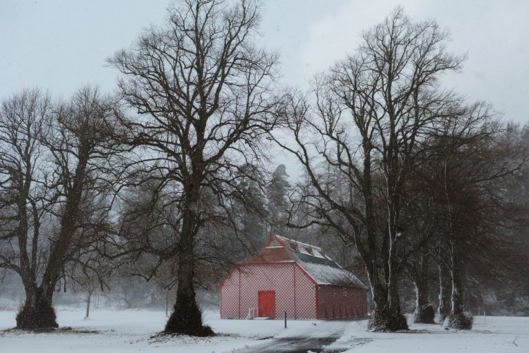 b80ef498 70a0 4e43 9bcc a325947fb8ac 768x512