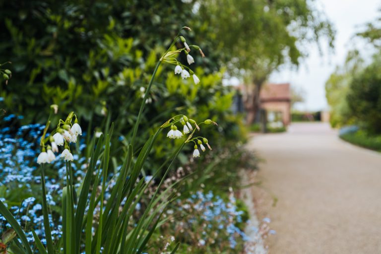 b8dcb085 d2dc 4ee8 a27d cc1ded2f28d7 768x512