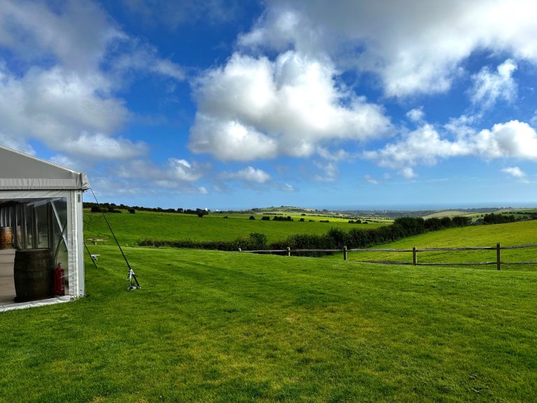 b9b22ae6 7ba6 40f4 b1c4 1c07b77339ee 768x576