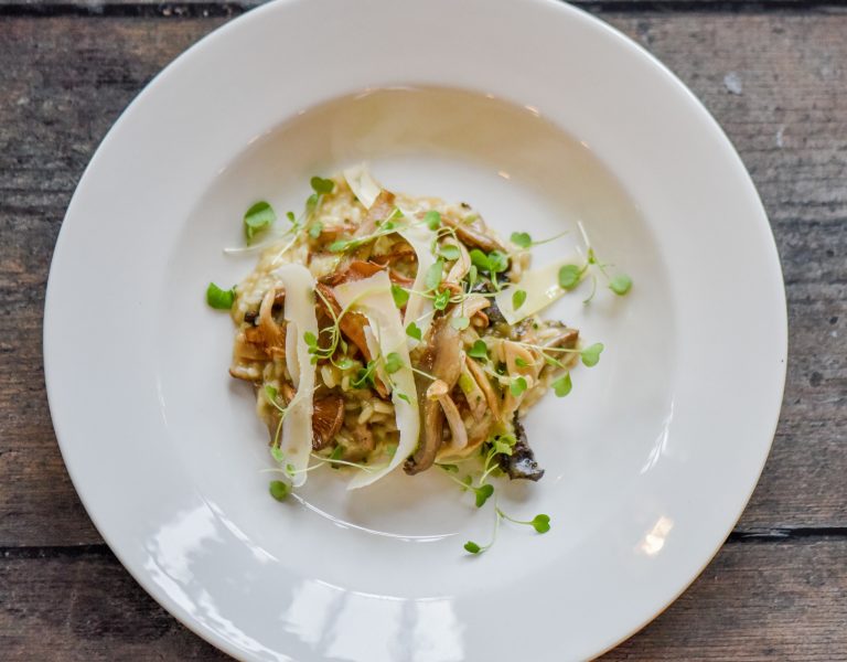 ba220336 e73d 4587 8087 b3f927b9c00b 768x600