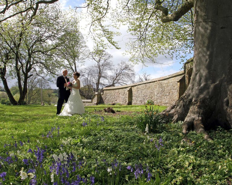 barnfield wedding11 byst7k 768x614