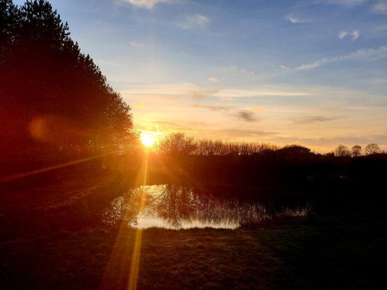 bcf8235d 42f0 4402 ba5a 1e9b45724d4d 768x576