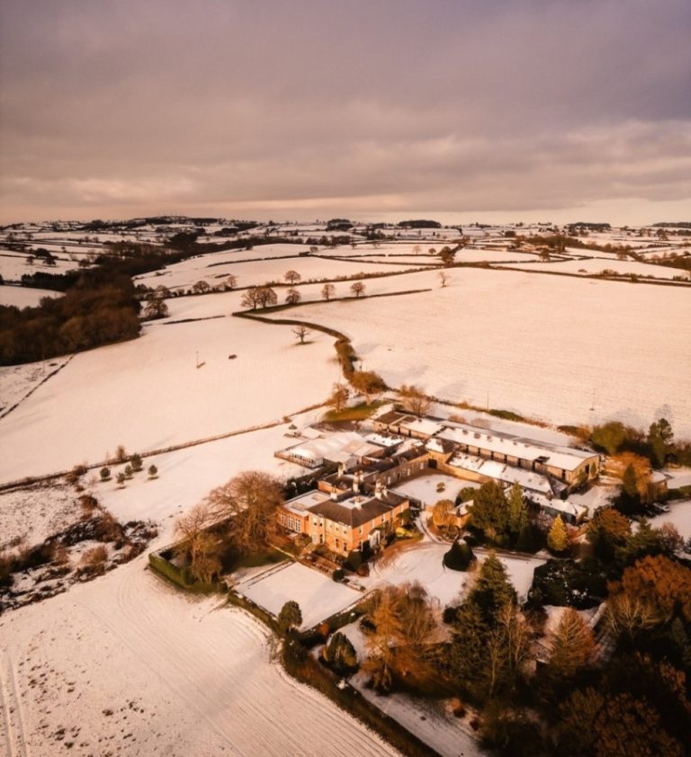 bd051c36 d3d5 4dea 89ff 19b494627f67 768x842