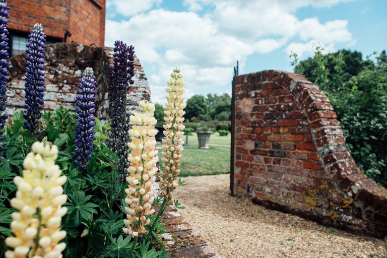 bd74c3e6 6cb4 4f88 9797 ec61cd427f46 768x512